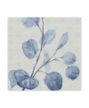 Trademark Global Lisa Audit Mixed Greens Li Blue Canvas Art In Multi