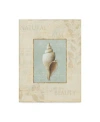 Trademark Global Lisa Audit 'soothing Words Shells I' Canvas Art In Multi