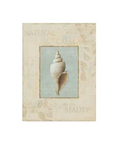 Trademark Global Lisa Audit 'soothing Words Shells I' Canvas Art In Multi