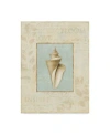 Trademark Global Lisa Audit 'soothing Words Shells Iii' Canvas Art In Multi