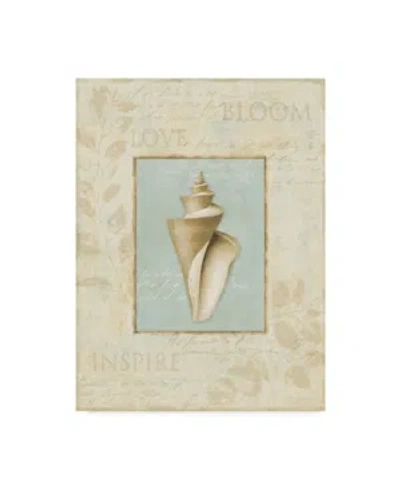 Trademark Global Lisa Audit 'soothing Words Shells Iii' Canvas Art In Multi