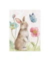 Trademark Global Lisa Audit Spring Softies Bunnies Ii Pink Canvas Art In Multi