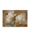 Trademark Global Lisa Audit 'tulip Waltz I' Canvas Art In Multi