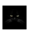 Trademark Global Lori Hutchison 'black Cat Centered' Canvas Art In Multi
