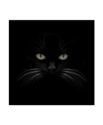 Trademark Global Lori Hutchison 'black Cat Centered' Canvas Art In Multi