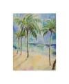 Trademark Global Lorraine Platt 'palm Trees Coastal' Canvas Art In Multi