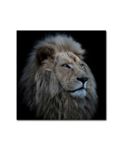 Trademark Global Louise Wolbers 'proud Lion' Canvas Art In Multi
