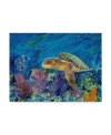 Trademark Global Lucy P. Mctier 'loggerhead Turtle' Canvas Art In Multi