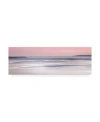 Trademark Global Lynne Dougla Silver Sands Canvas Art In Multi