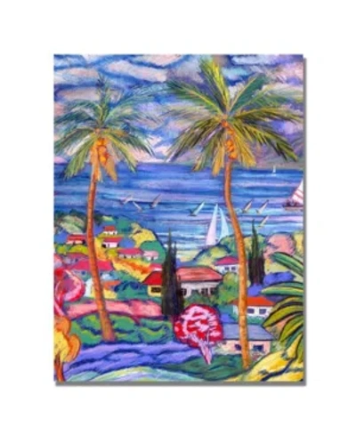 Trademark Global Manor Shadian 'hawaii Wind Surf' Canvas Art In Multi