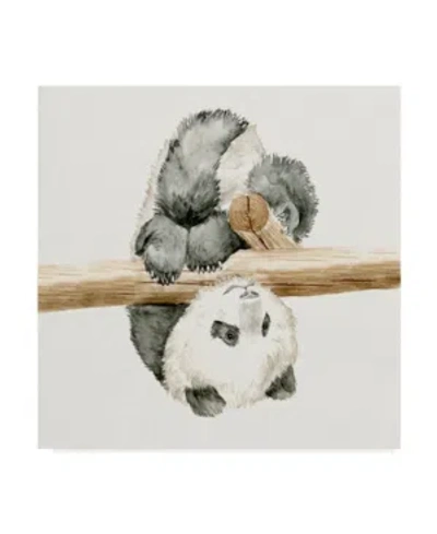 Trademark Global Melissa Wang Baby Panda Ii Canvas Art In Multi