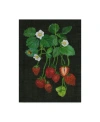 Trademark Global Melissa Wang Strawberry Fields Ii Canvas Art In Multi