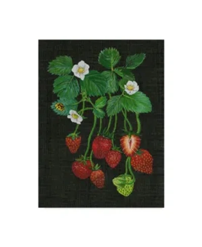 Trademark Global Melissa Wang Strawberry Fields Ii Canvas Art In Multi