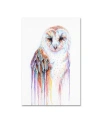 Trademark Global Michelle Faber 'barred Rainbow Owl' Canvas Art In Multi