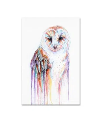 Trademark Global Michelle Faber 'barred Rainbow Owl' Canvas Art In Multi