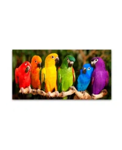 Trademark Global Mike Jones Photo 'rainbow Parrots' Canvas Art In Multi