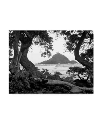 Trademark Global Monte Nagler Long Hanna Drive Maui Hawaii Canvas Art In Multi