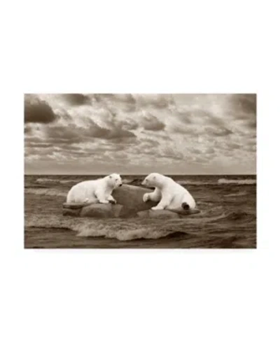 Trademark Global Monte Nagler Two Polar Bears Coast Line Canvas Art In Multi