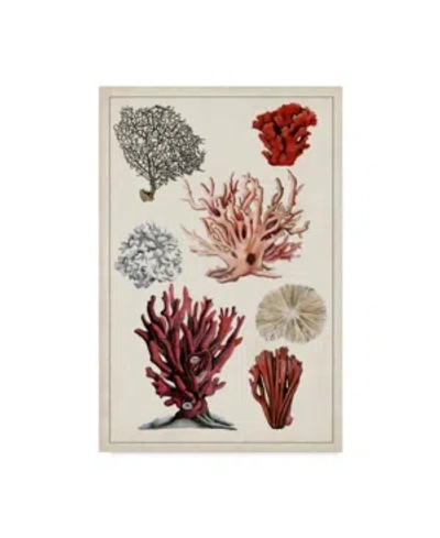 Trademark Global Naomi Mccavitt Antique Coral Study I Canvas Art In Multi