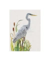 Trademark Global Naomi Mccavitt Water Birds And Cattails I Canvas Art In Multi