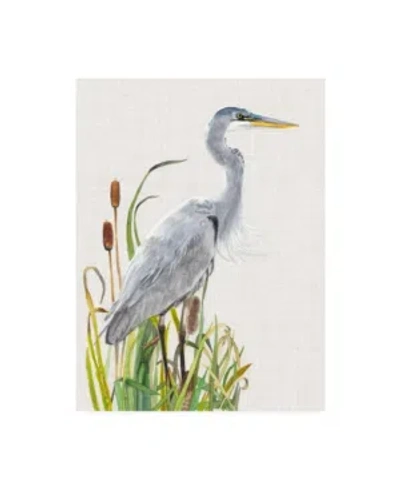 Trademark Global Naomi Mccavitt Water Birds And Cattails I Canvas Art In Multi