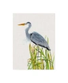 Trademark Global Naomi Mccavitt Water Birds And Cattails Ii Canvas Art In Multi