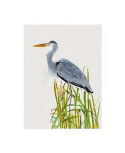 Trademark Global Naomi Mccavitt Water Birds And Cattails Ii Canvas Art In Multi