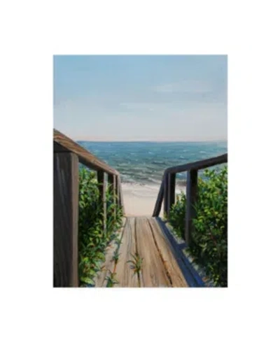 Trademark Global Paul Walsh Beach Walk Way Canvas Art In Multi