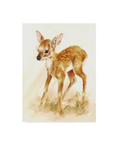 Trademark Global Peggy Harris 'fawn' Canvas Art In Multi
