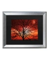 Trademark Global Philippe Sainte-laudy Big Bad Moon Matted Framed Art In Multi