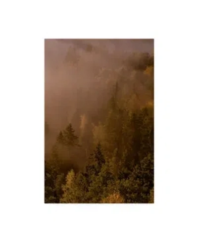 Trademark Global Photoinc Studio Autumn Forest Green Canvas Art In Multi