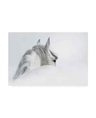 Trademark Global Photoinc Studio White Horse On White Canvas Art In Multi
