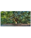 Trademark Global Pierre Leclerc 'angel Oak Charleston' 24" X 47" Canvas Wall Art