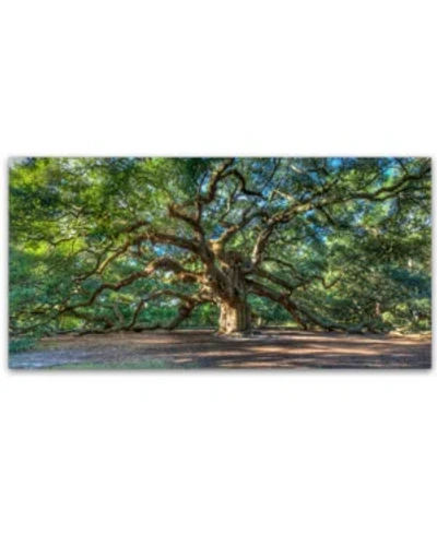 Trademark Global Pierre Leclerc 'angel Oak Charleston' 24" X 47" Canvas Wall Art