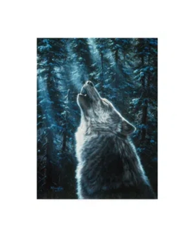 Trademark Global R W Hedge Moonlight Wolf Canvas Art In Multi