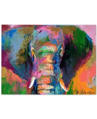 Trademark Global Richard Wallich 'elephant 2' Canvas Art In No Color