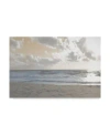 Trademark Global Sharon Chandler Serene Sea 3 Canvas Art In Multi