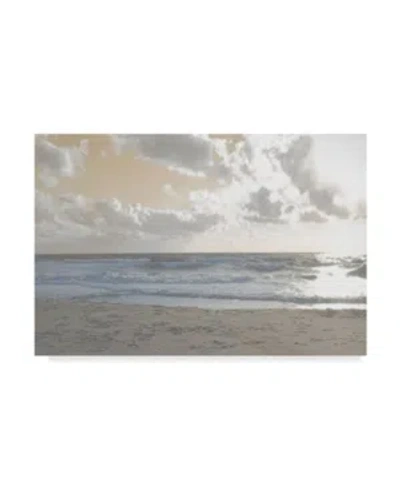 Trademark Global Sharon Chandler Serene Sea 3 Canvas Art In Multi