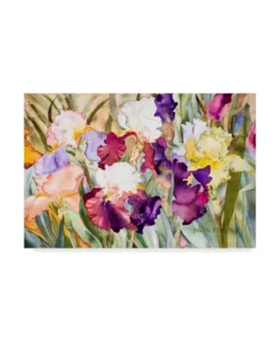 Trademark Global Sharon Pitts 'iris Garden 1' Canvas Art In Multi