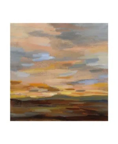 Trademark Global Silvia Vassileva High Desert Sky Iii Canvas Art In Multi