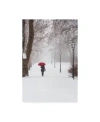 Trademark Global Stefano Cors Winter Rose Canvas Art In Multi