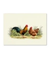 Trademark Global The Macneil Studio 'cockerel And Hen Copy' Canvas Art In Multi