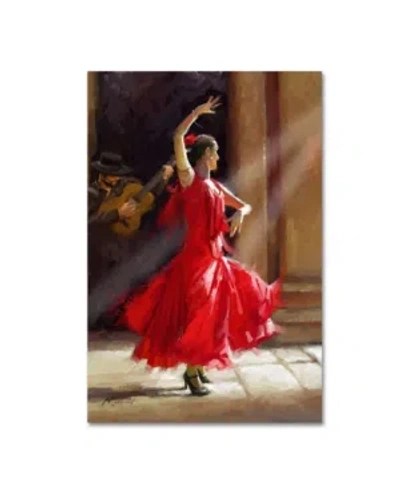 Trademark Global The Macneil Studio 'flamenco' Canvas Art In Multi