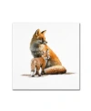 Trademark Global The Macneil Studio 'fox' Canvas Art In Multi