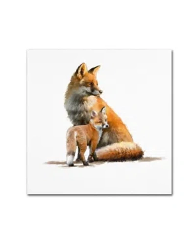 Trademark Global The Macneil Studio 'fox' Canvas Art In Multi
