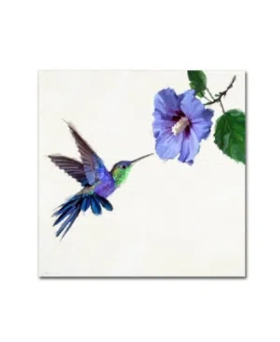 Trademark Global The Macneil Studio 'humming Bird' Canvas Art In Multi