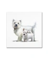Trademark Global The Macneil Studio 'westie' Canvas Art In Multi