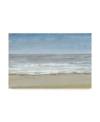 Trademark Global Tim Otoole Beach Walking Day I Canvas Art In Multi