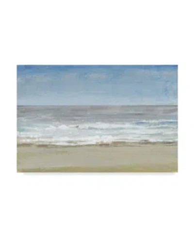 Trademark Global Tim Otoole Beach Walking Day I Canvas Art In Multi