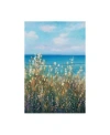 Trademark Global Tim Otoole Flowers At The Coast Ii Canvas Art In Multi
